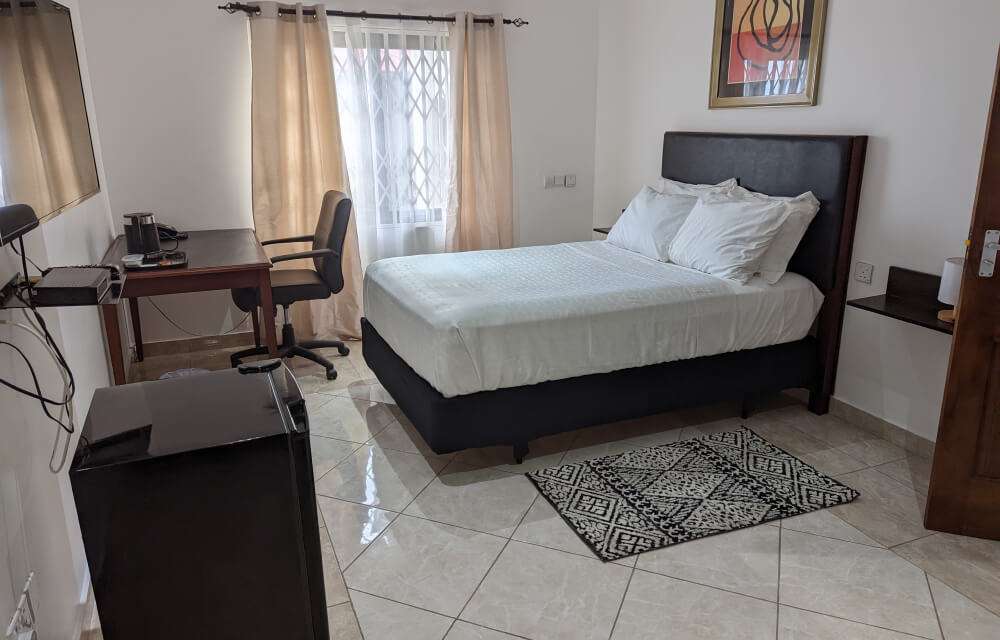 Palms Plush